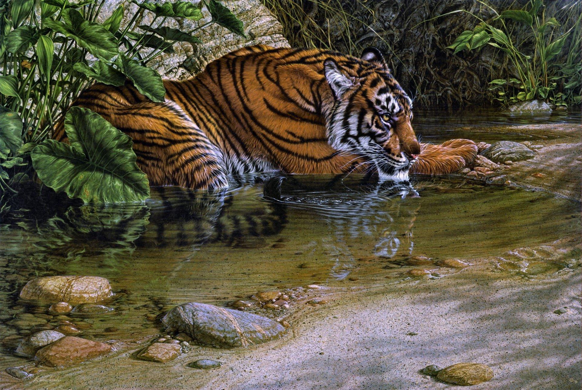 tiger river lee kromschroeder painting tiger thirsty jungle stream