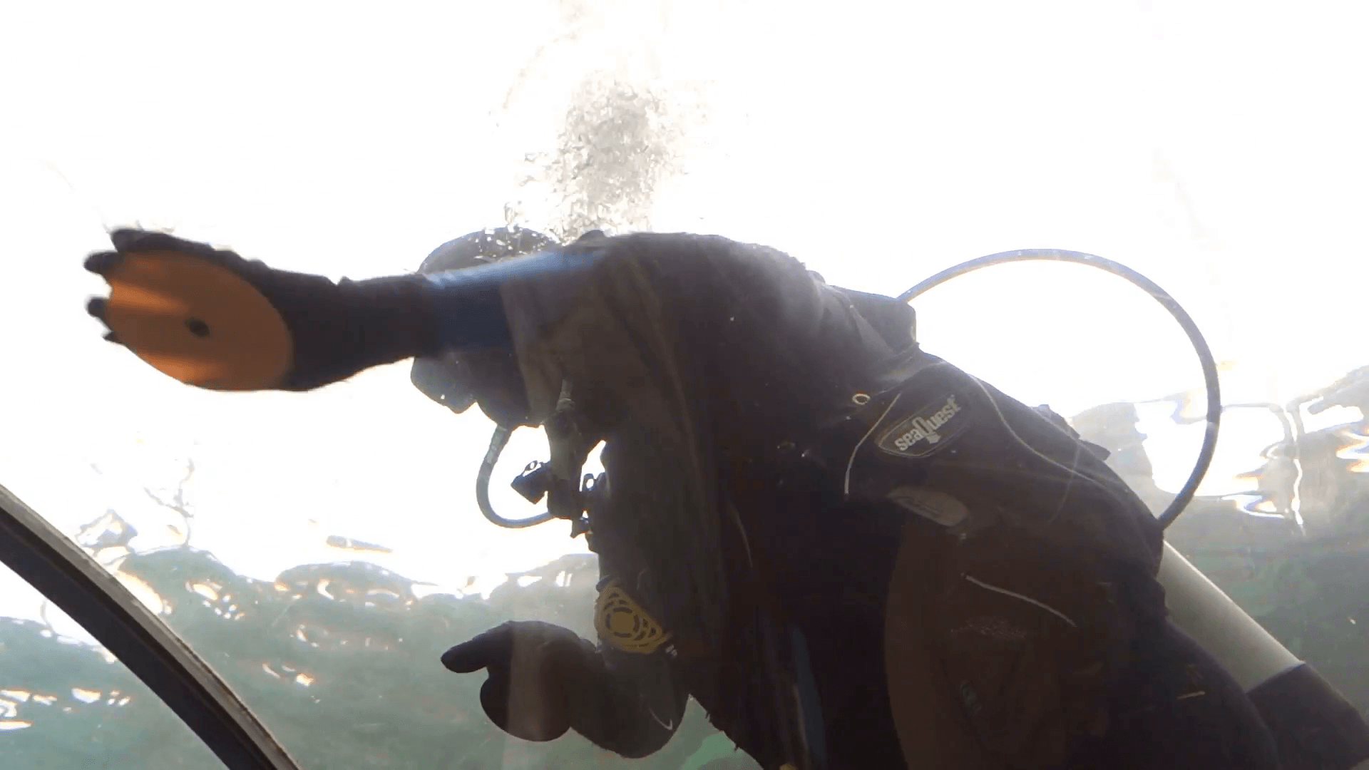 A diver cleaning underwater tunnel in sydney aquarium Stock Video