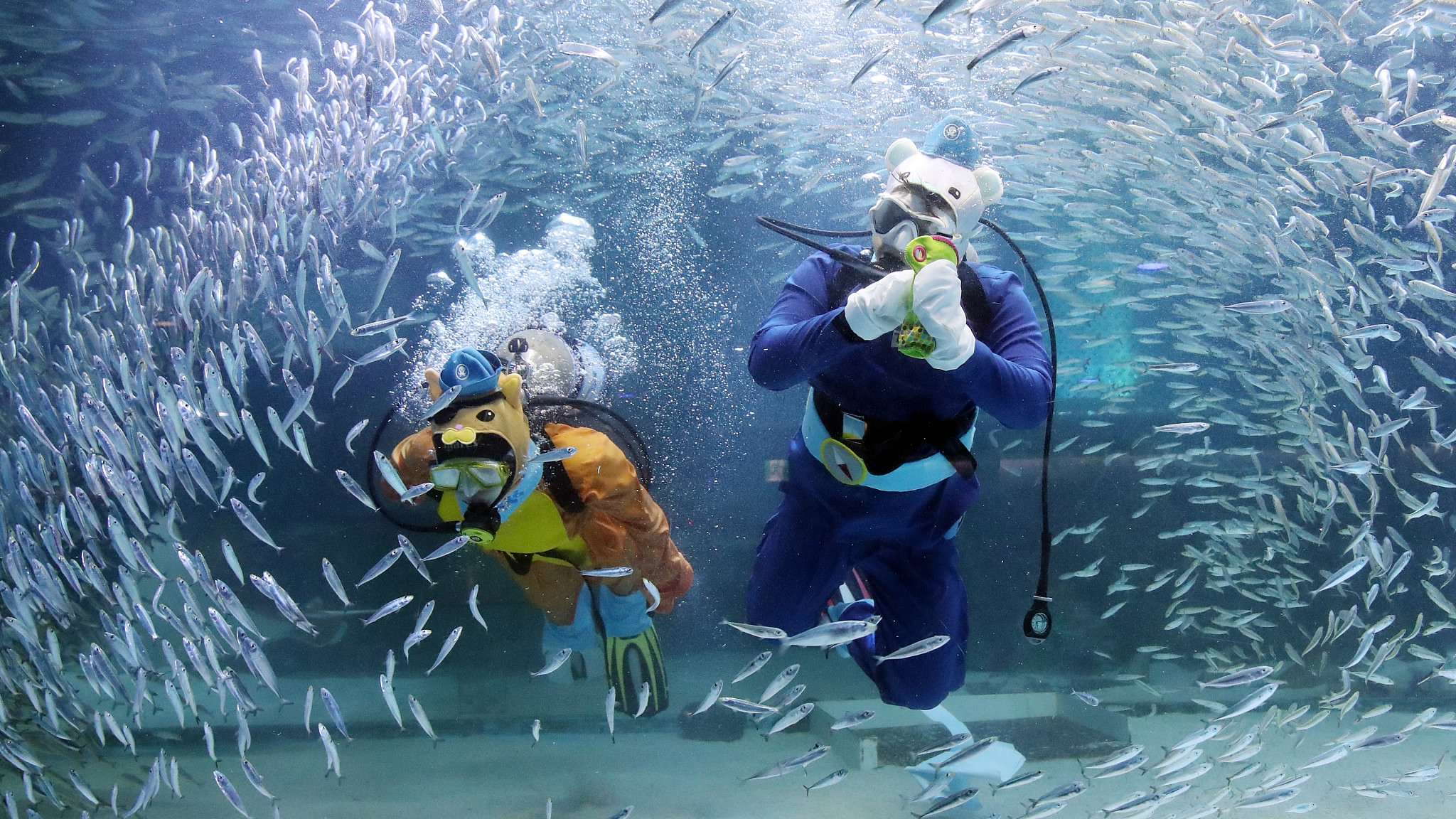 Costumed divers surrounded by sardines in a S. Korean aquarium