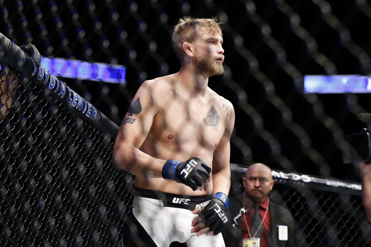 UFC Fight Night 93 results: Alexander Gustafsson scores unanimous