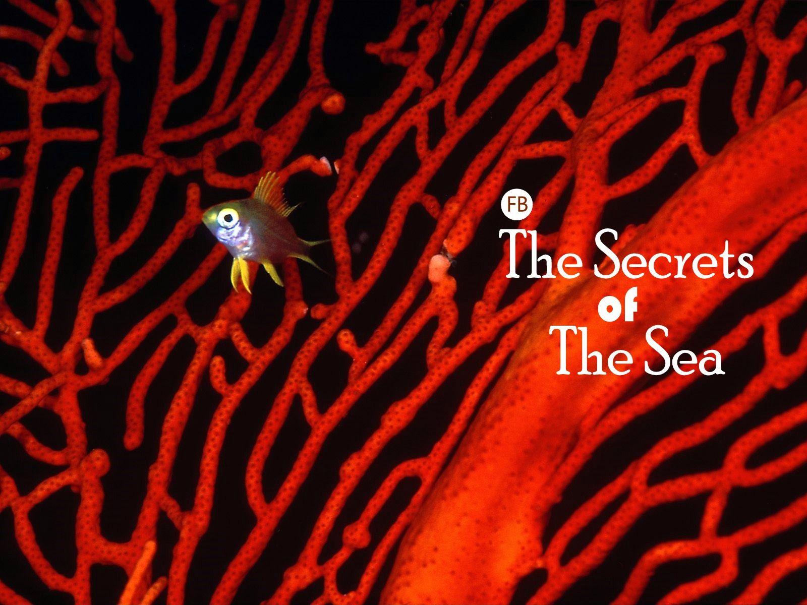 The Sea, once it casts its spell, holds one in its net of wonder