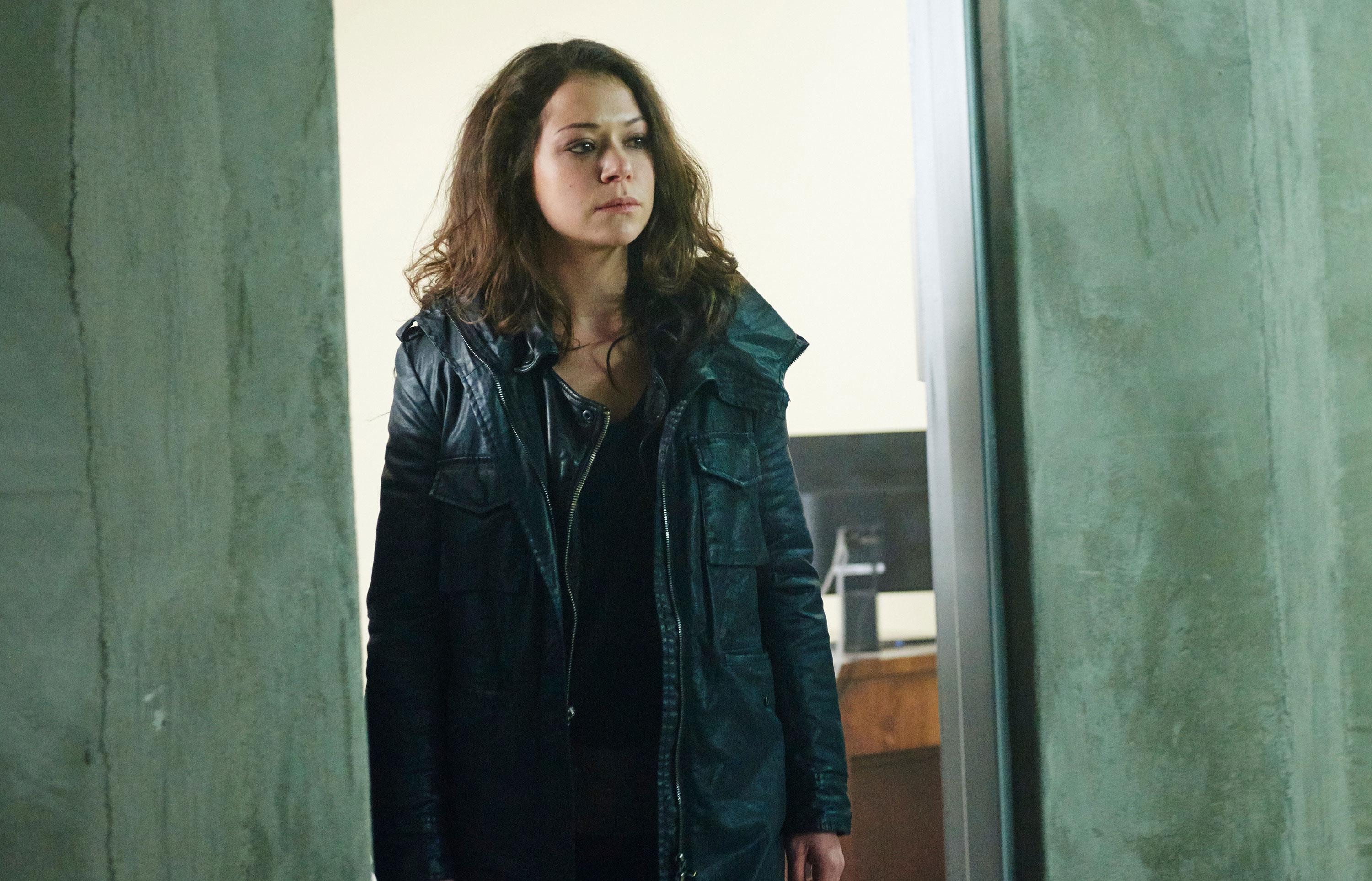 Tatiana Maslany Wallpapers Wallpaper Cave — free download