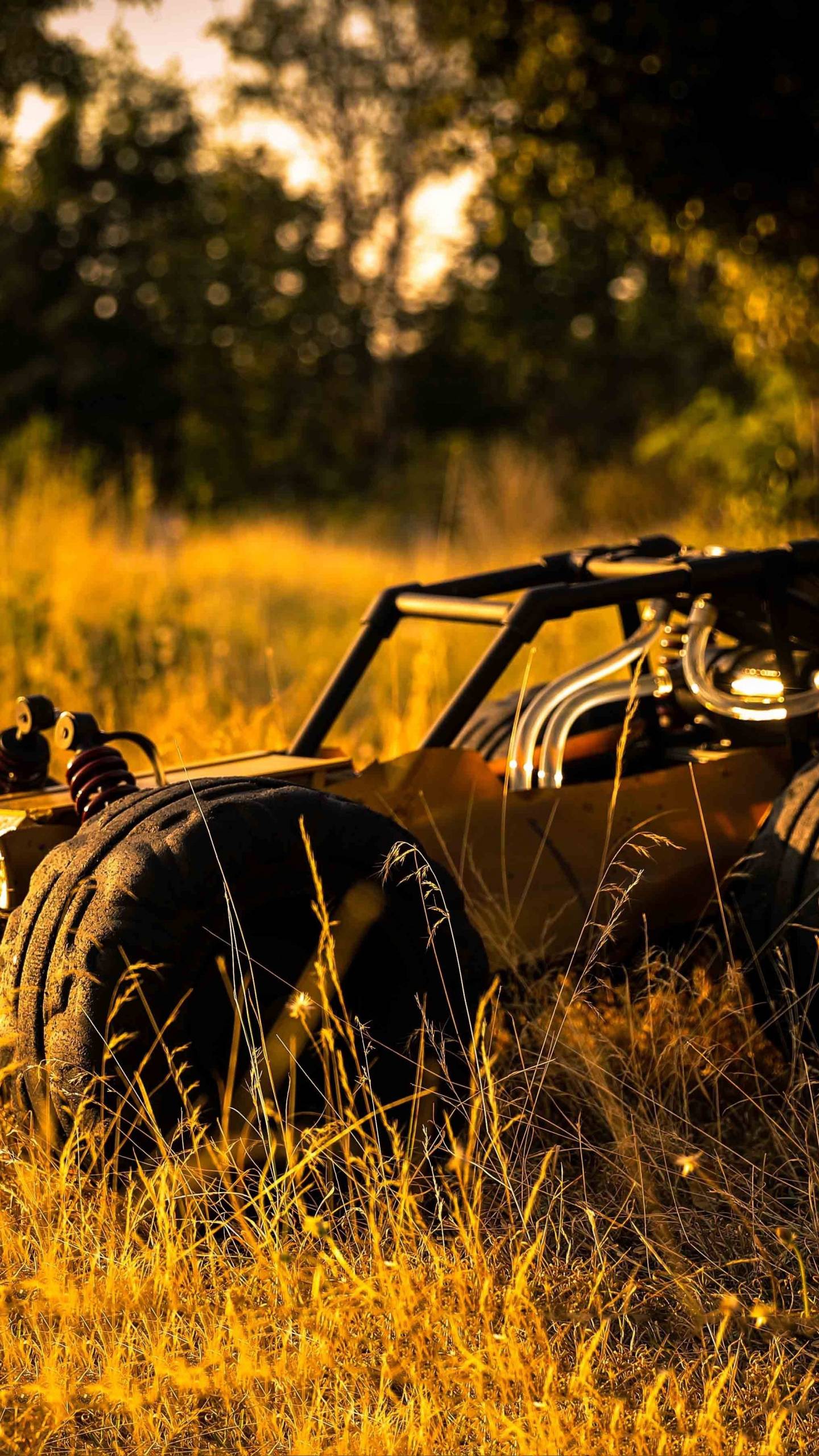 Download 1440x2560 wallpaper pubg, buggy vehicle, landscape, 2018