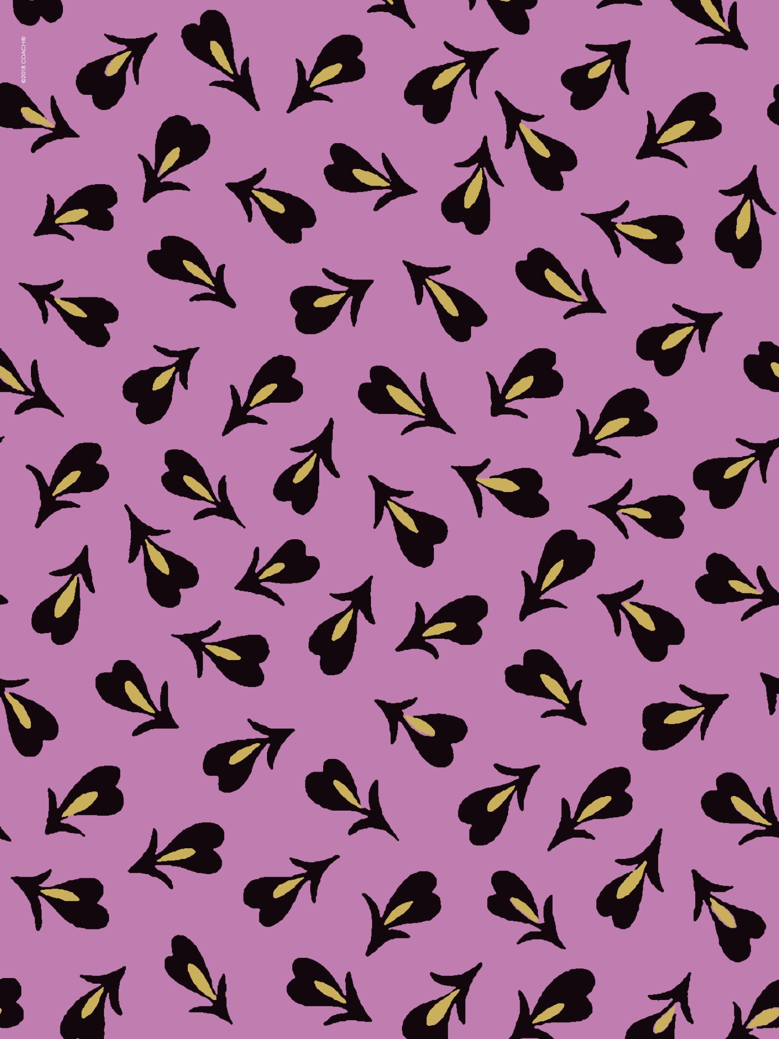 Pink Coach Wallpapers on WallpaperDog