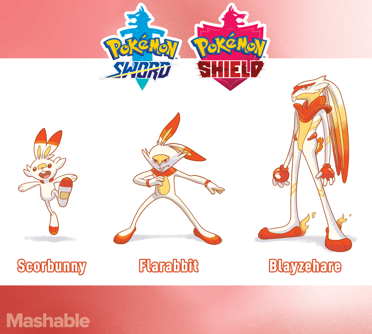One artist's cool designs of the three new starter Pokémon