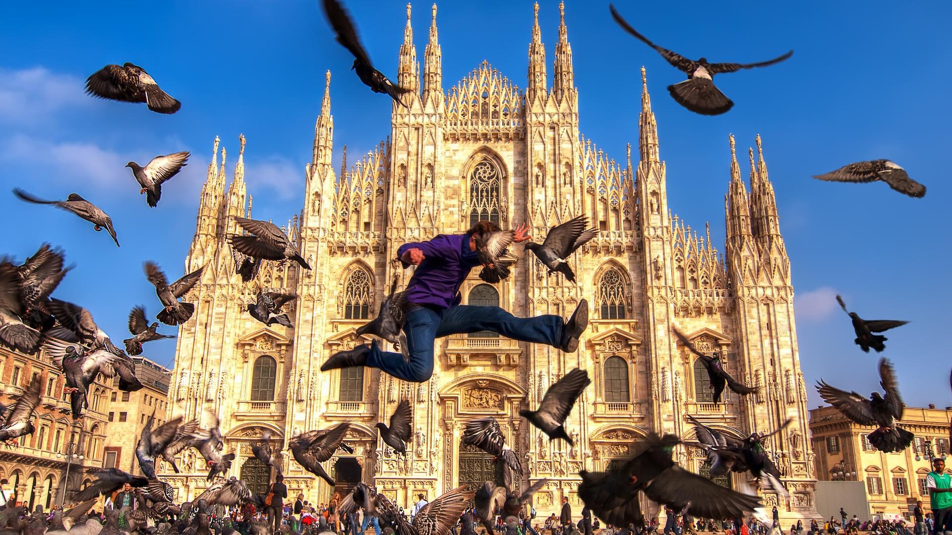 Cityscapes birds church italy milano Wallpaper