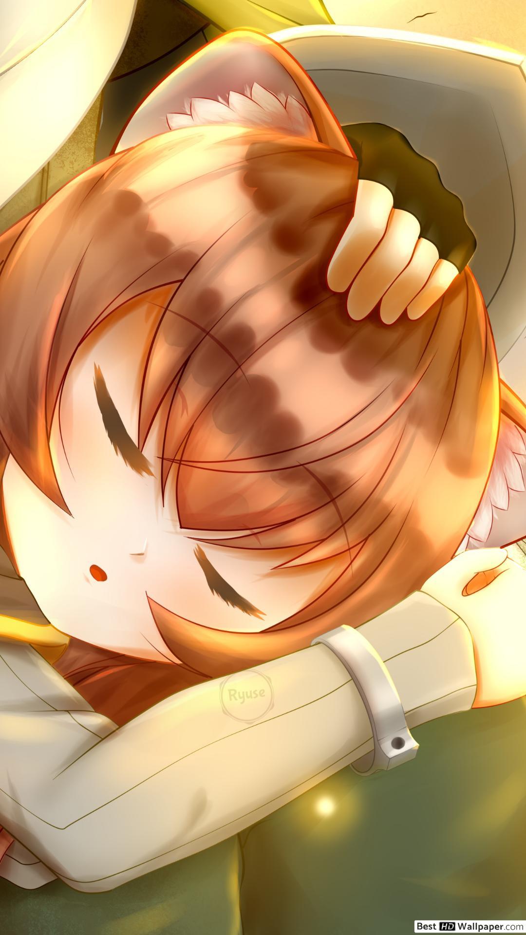 The Rising of the Shield Hero Sleeping HD wallpaper download