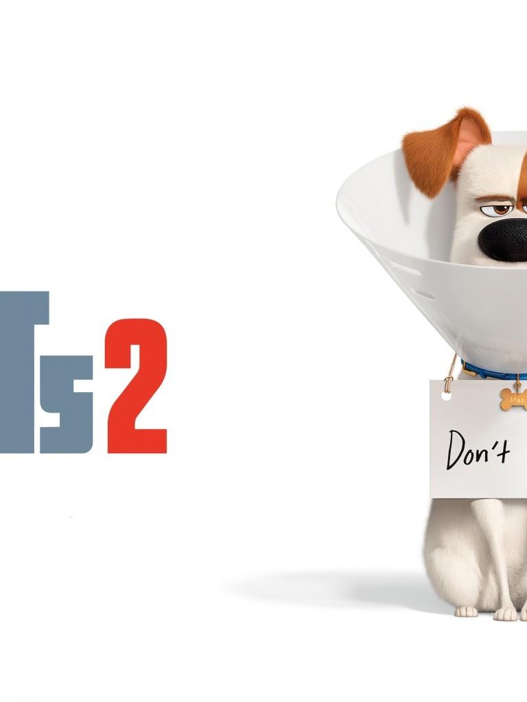 Download 768x1024 The Secret Life Of Pets Animation, Dog