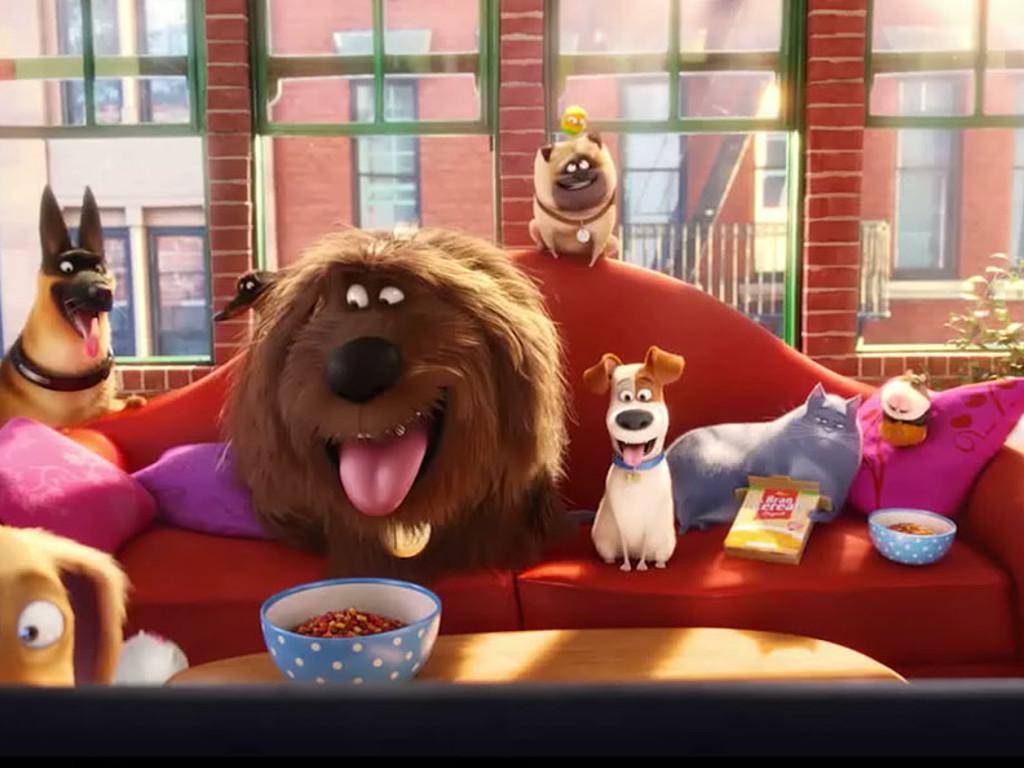 cinema.com.my: Secret Life of Pets unleashes sequel