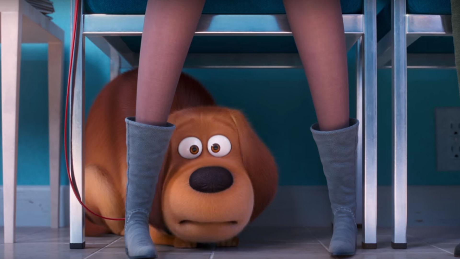 Hero Dog Max Takes Trip To The Vet In First 'Secret Life Of Pets 2