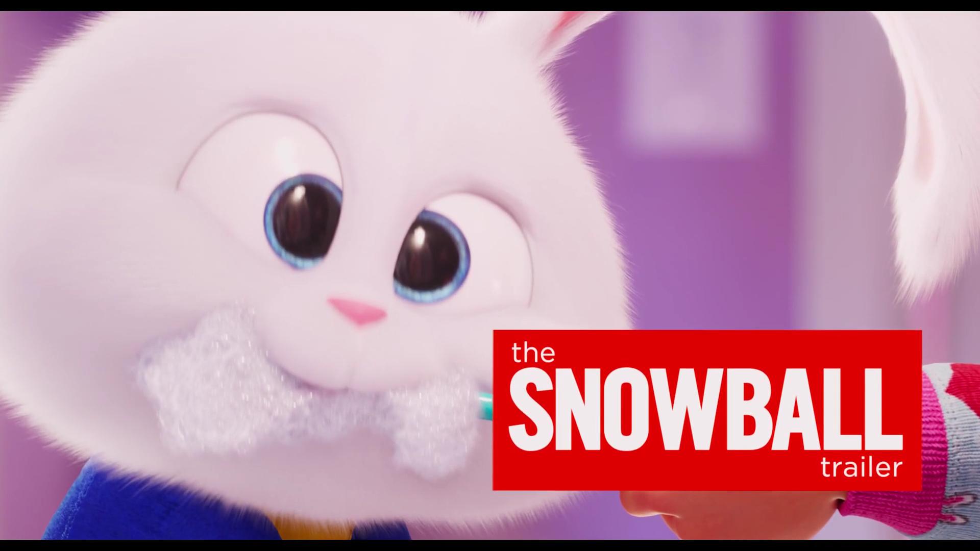 The Snowball Trailer