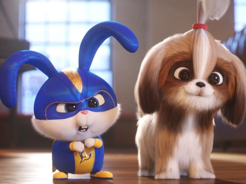 Win tickets to see The Secret Life of Pets 2!