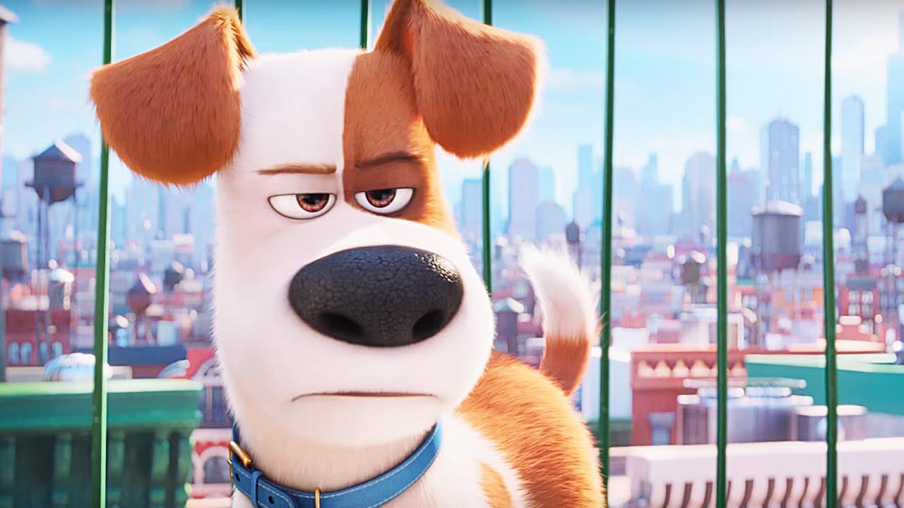 The Secret Life of Pets Snowball Wallpaper in jpg format for free