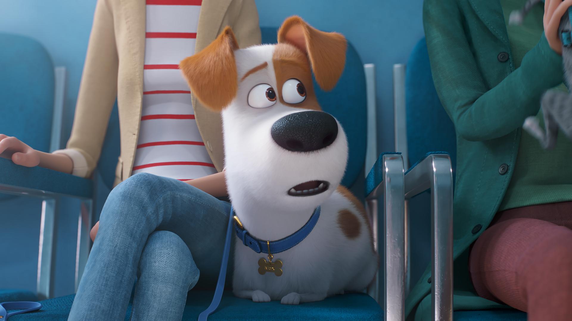 The Secret Life Of Pets 2 review. Movies For Kids