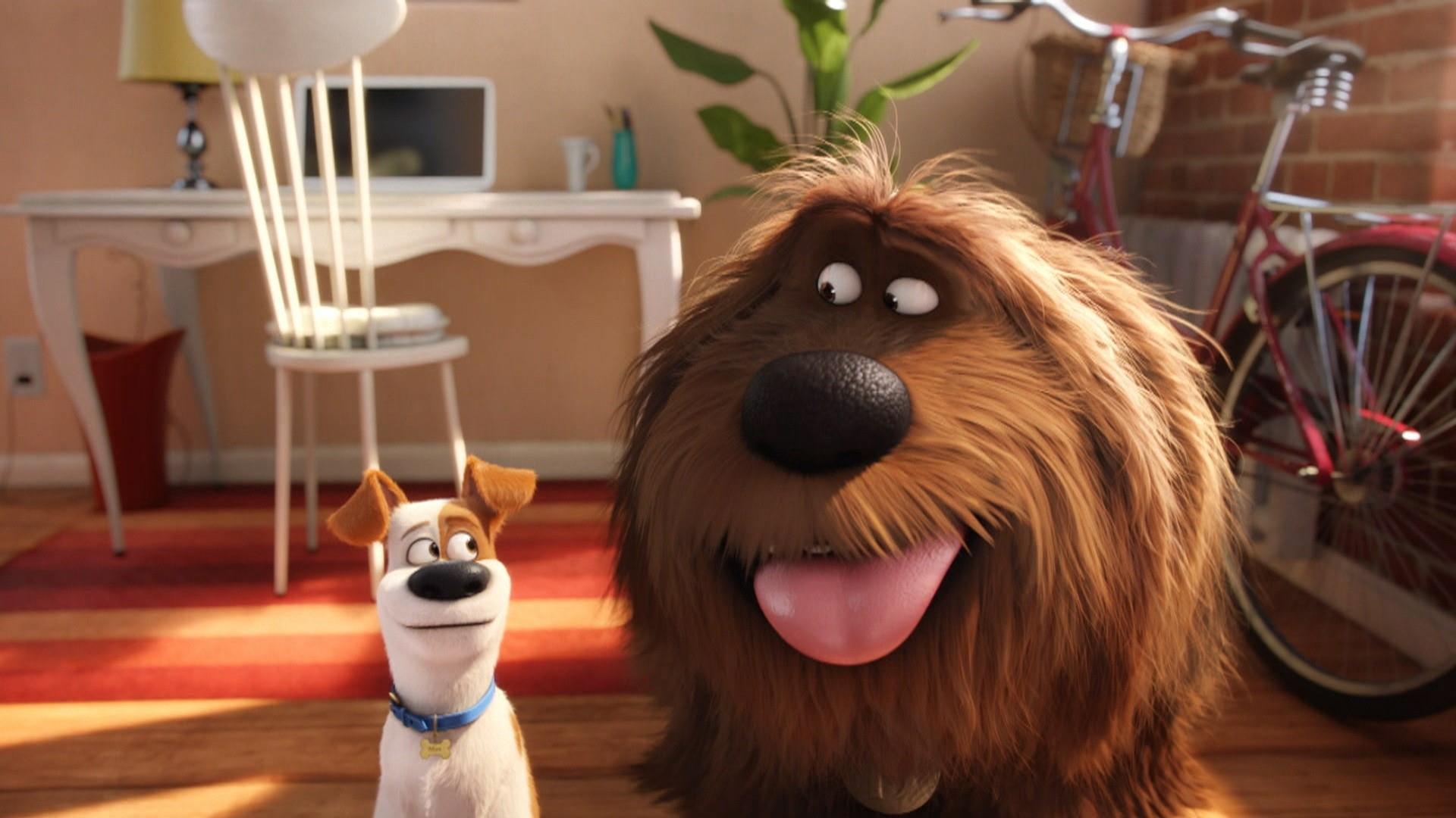 See a preview of 'The Secret Life of Pets 2'
