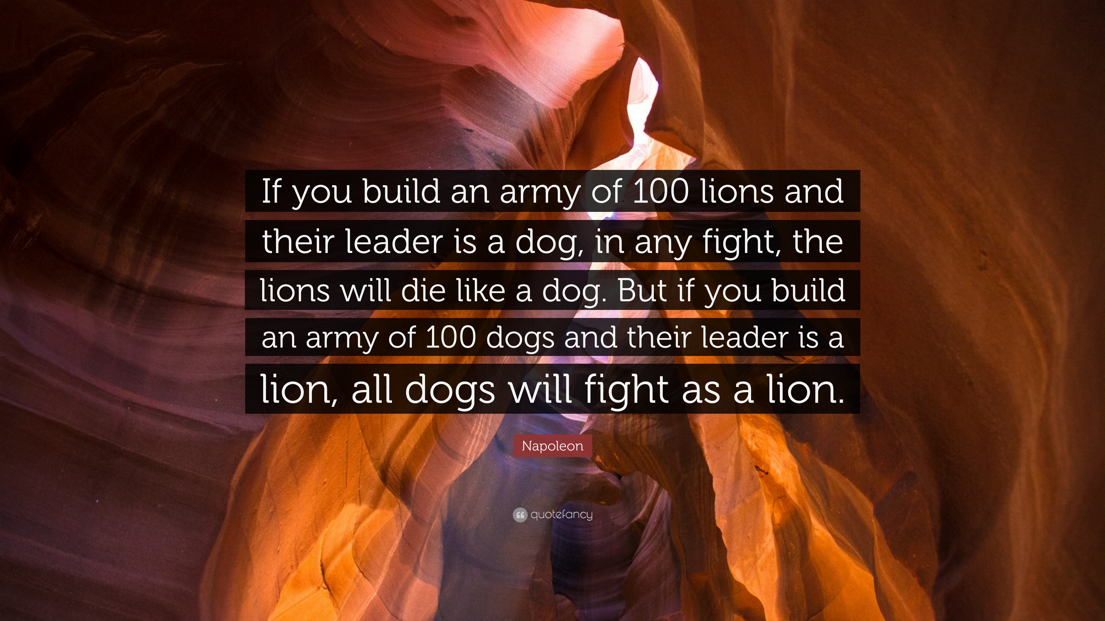 Napoleon Quote: “If you build an army of 100 lions and their leader