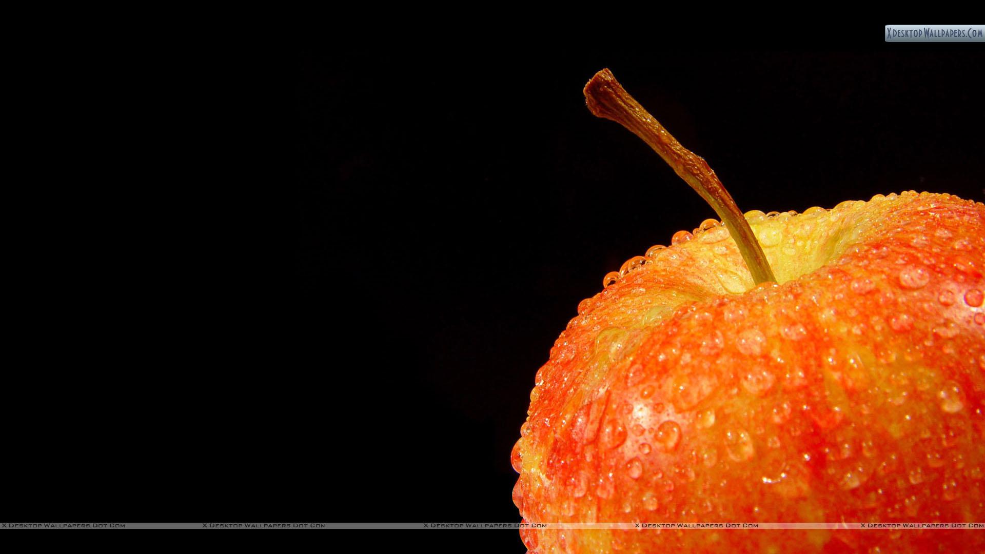 Ready To Eat Wallpaper