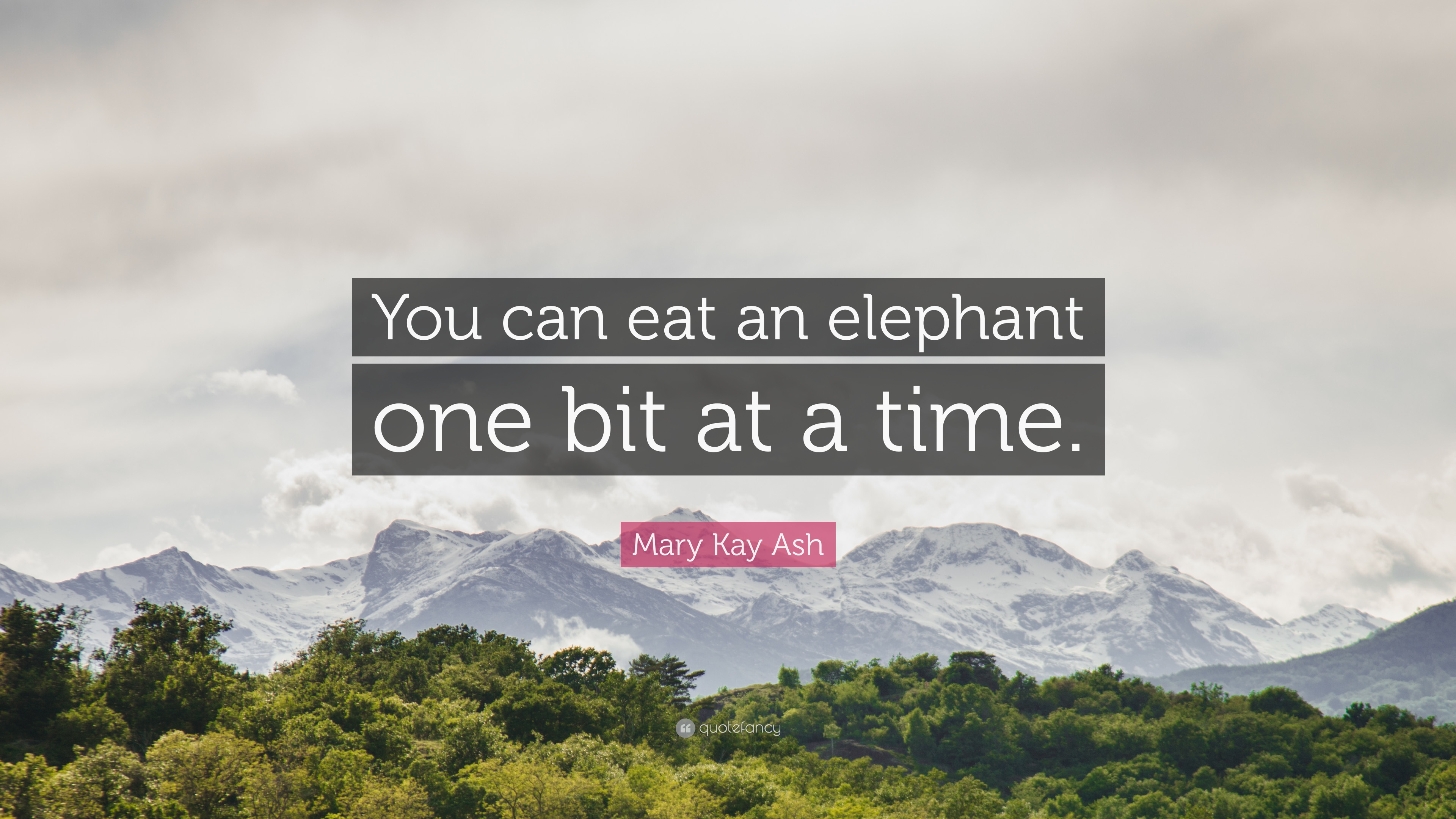 Mary Kay Ash Quote: “You can eat an elephant one bit at a time.” 8