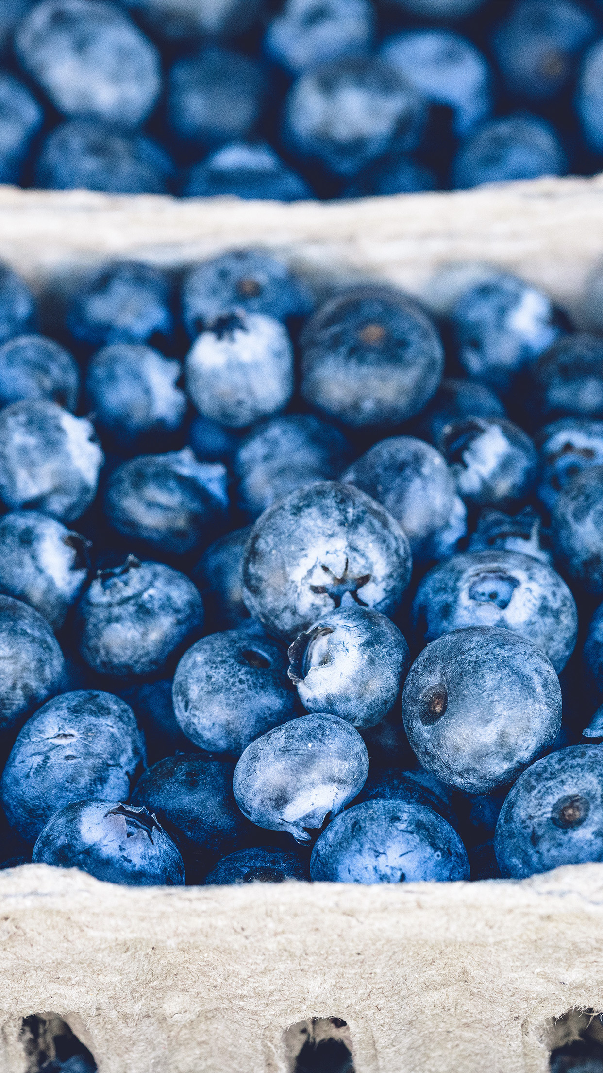 iPhone7 wallpaper. blueberry mart fruit
