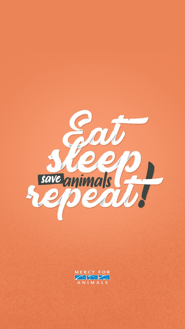These 11 Free Vegan iPhone Wallpaper Will Inspire You