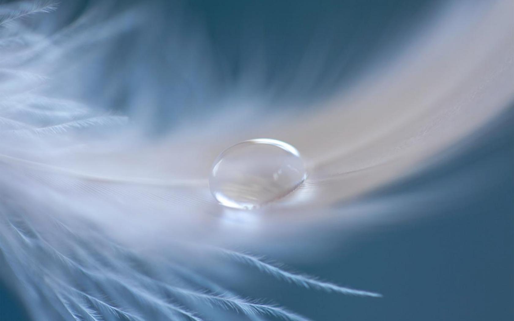 Tear Wallpaper Group With 63 Items 1680x1050 (67.48 KB)