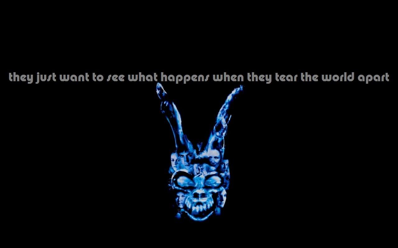 Donnie Darko image Tear the world apart. HD wallpaper