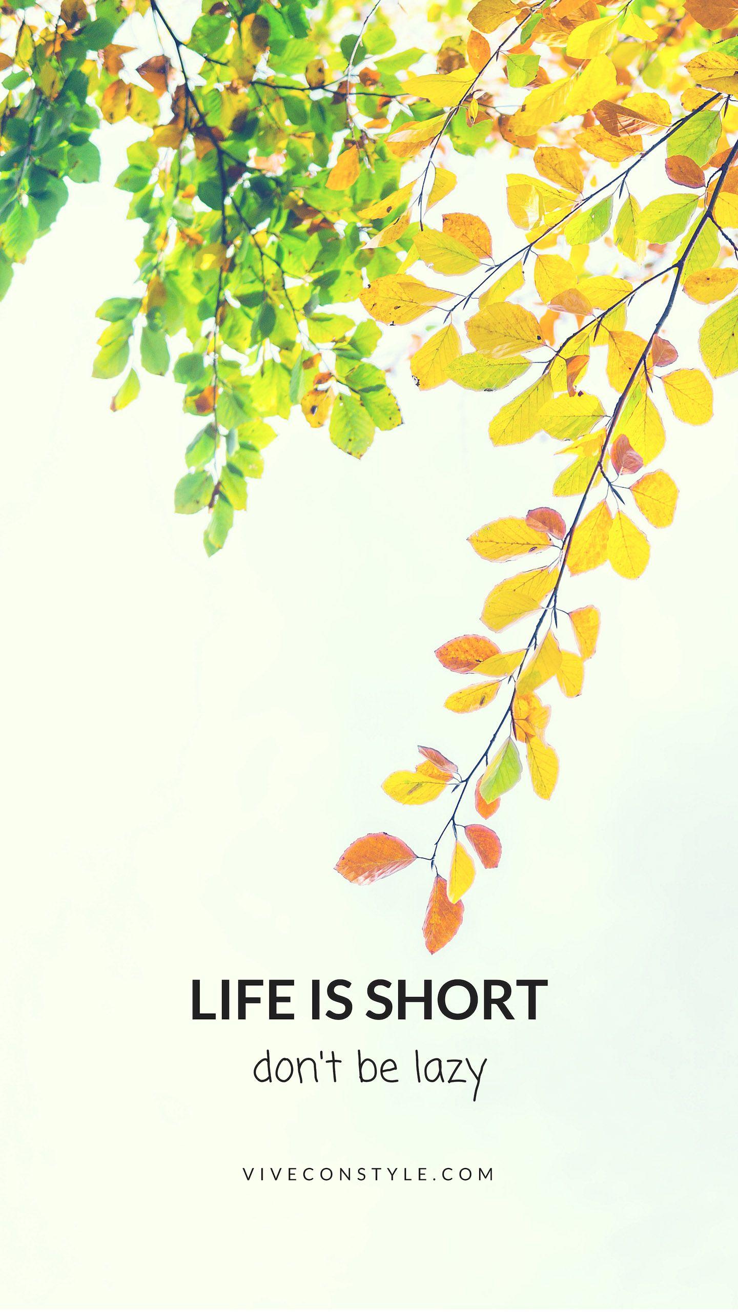 Life is short Don't be lazy. Life ramanders. Phone wallpaper