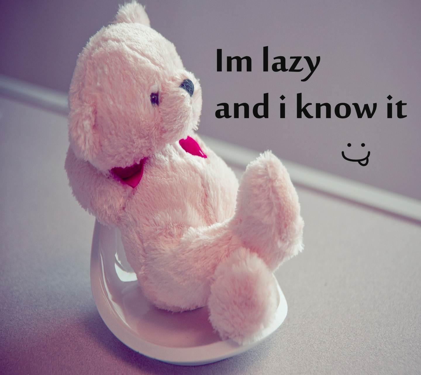Download I am lazy and i know it wallpaper funny image