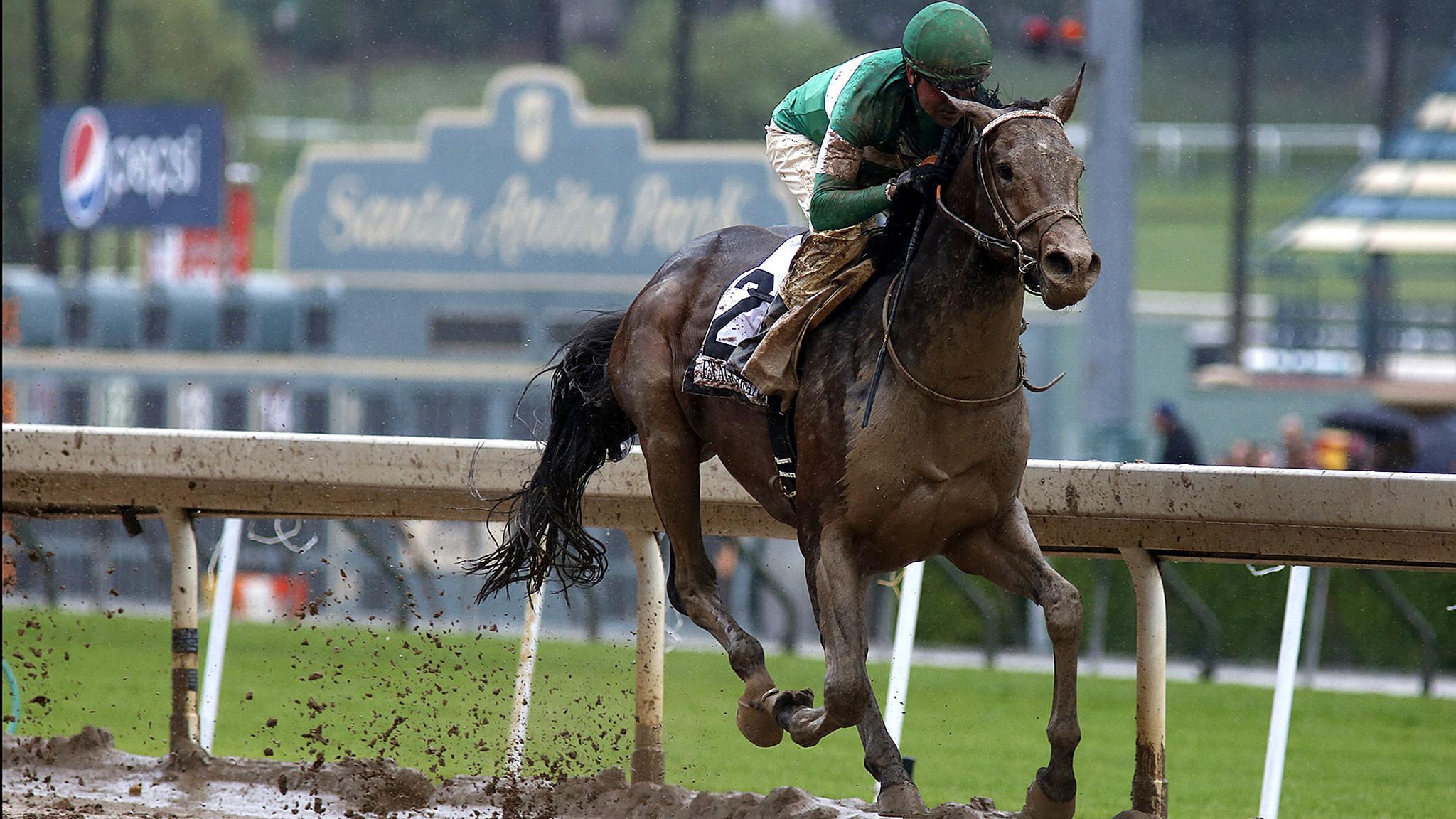 Early 2016 Belmont Stakes Expert Picks.com News