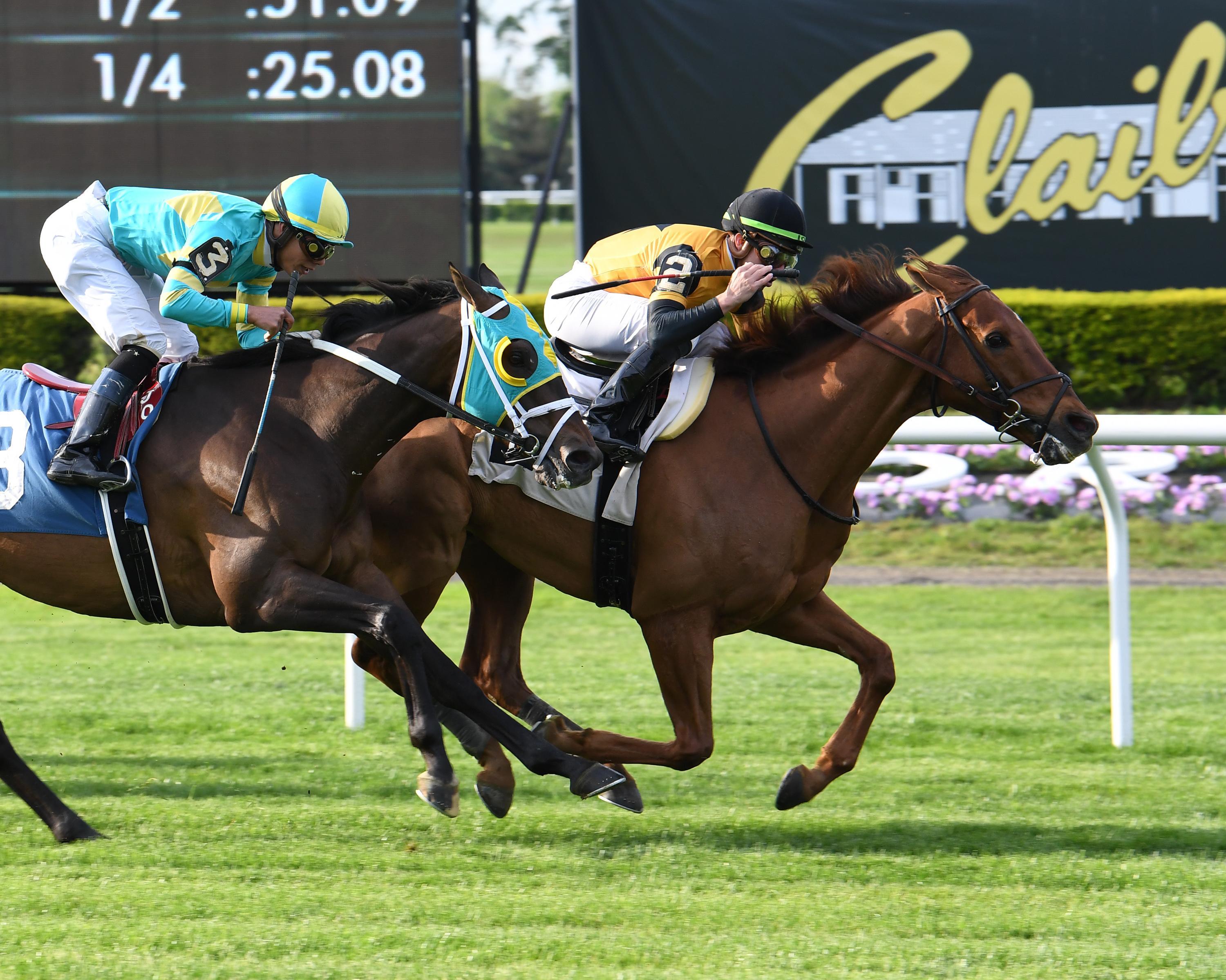 Horse News. West Point ThoroughbredsWest Point Thoroughbreds