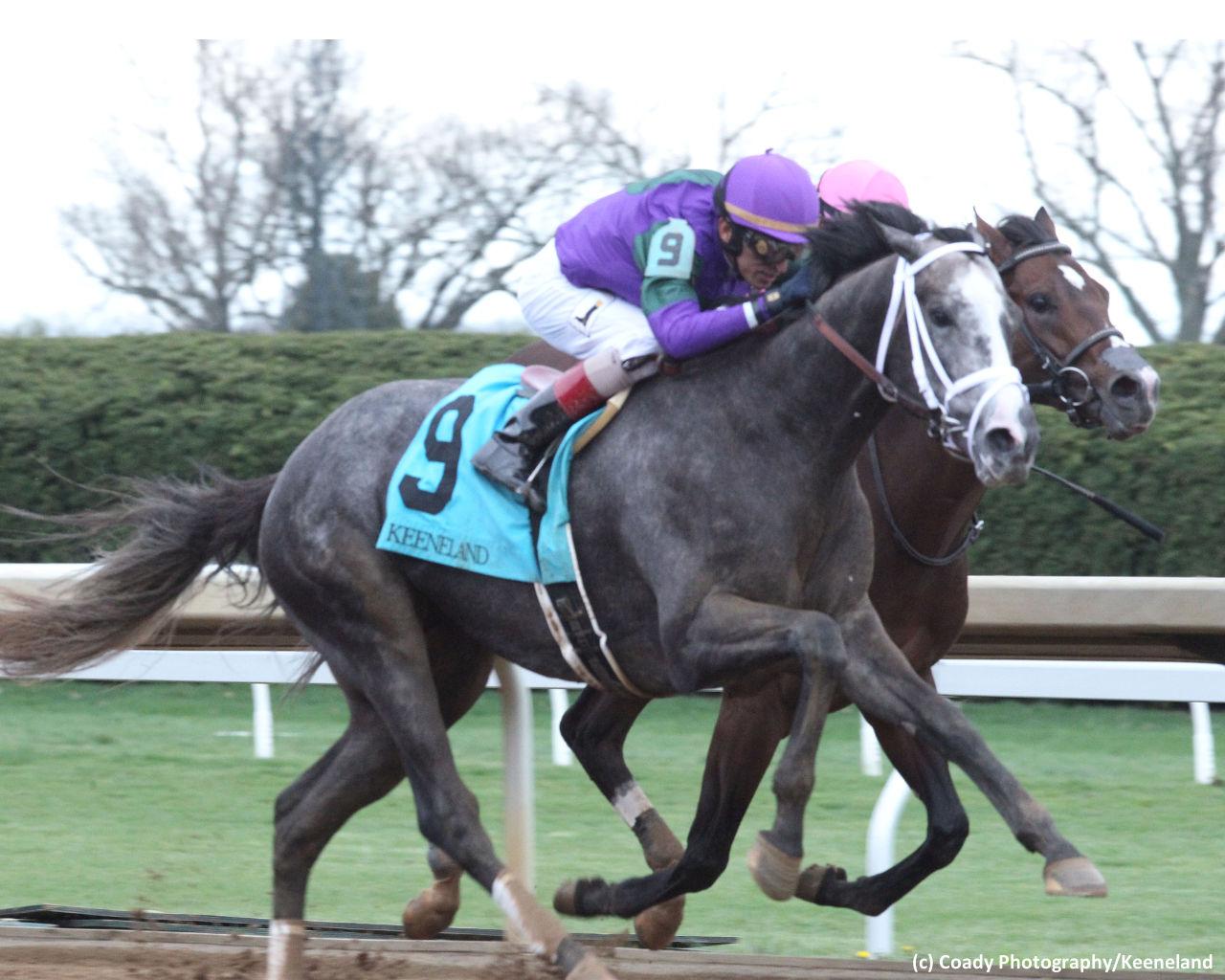 Belmont Stakes Report: Upset candidates