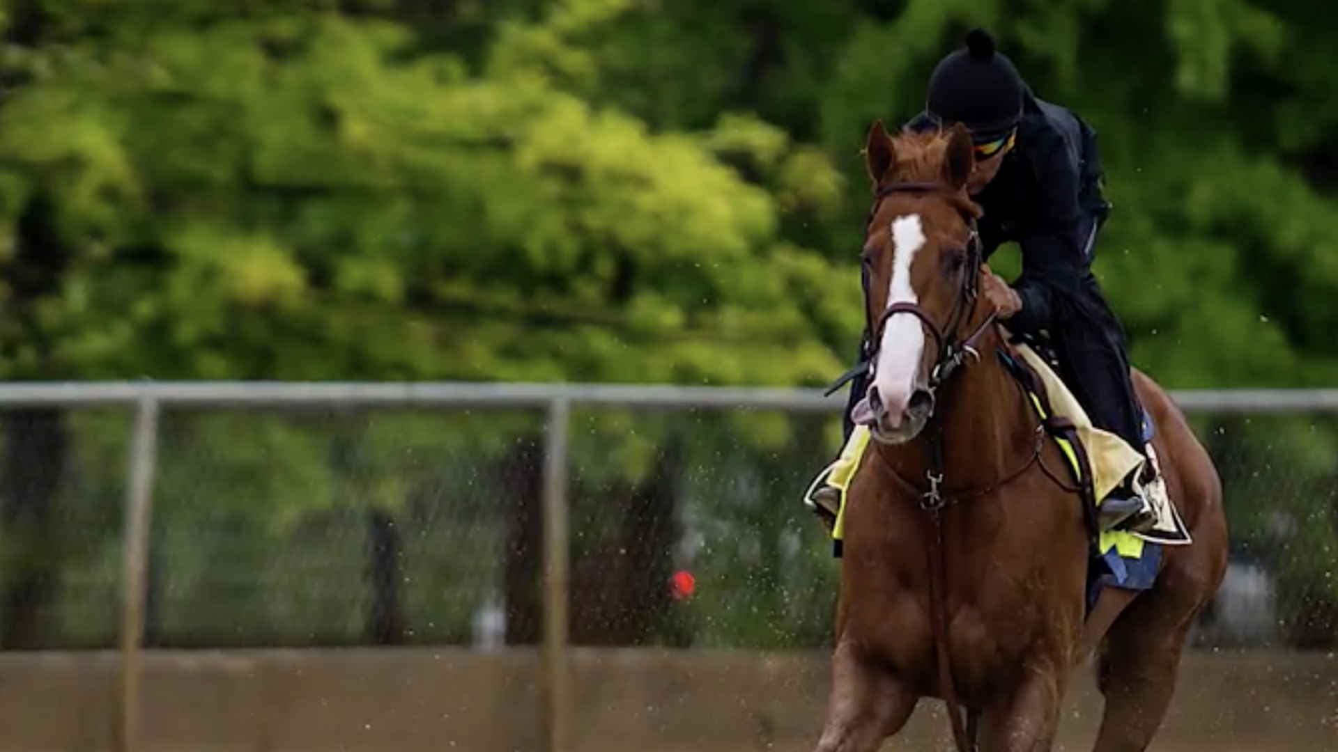 Triple Crown Hopeful Justify the Race Horse Is Going to Belmont