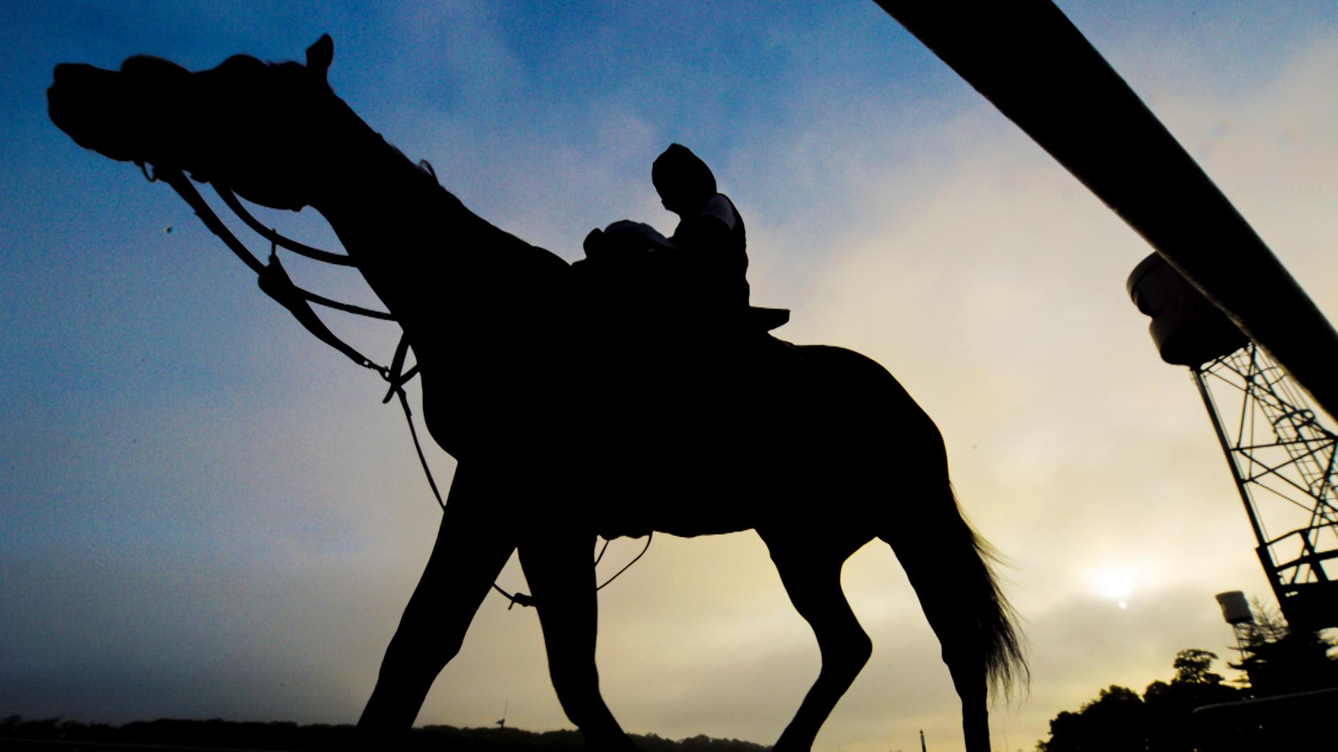 Who's going to win the Belmont Stakes?