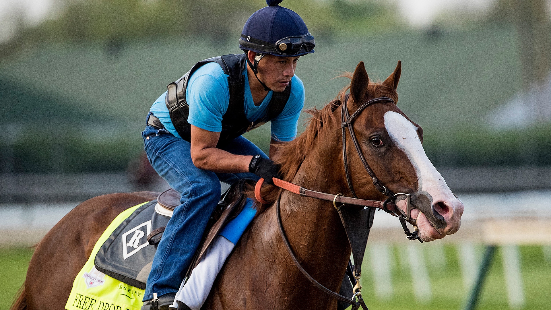 No advantage for Free Drop Billy in 2018 Belmont Stakes