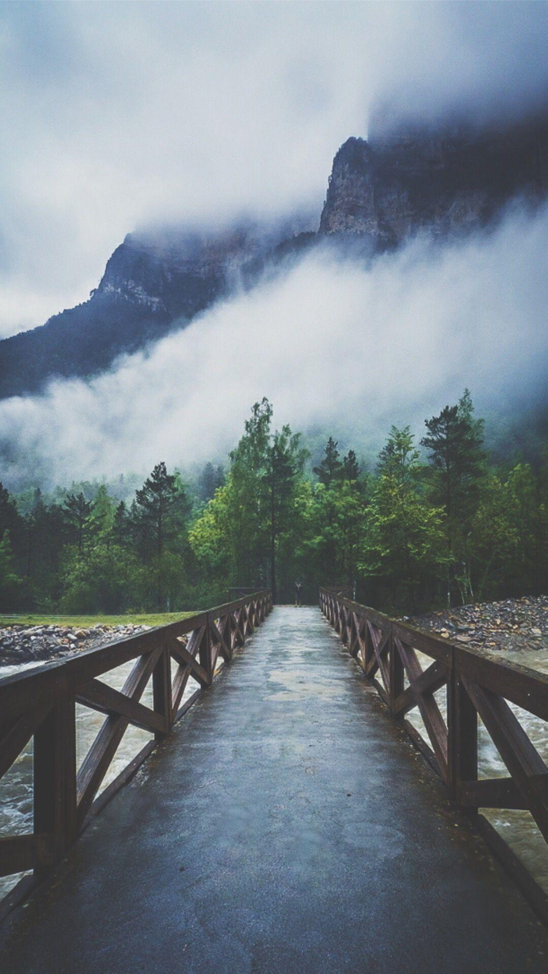 Forest River Crossing Mountain Fog iPhone HD Wallpaper