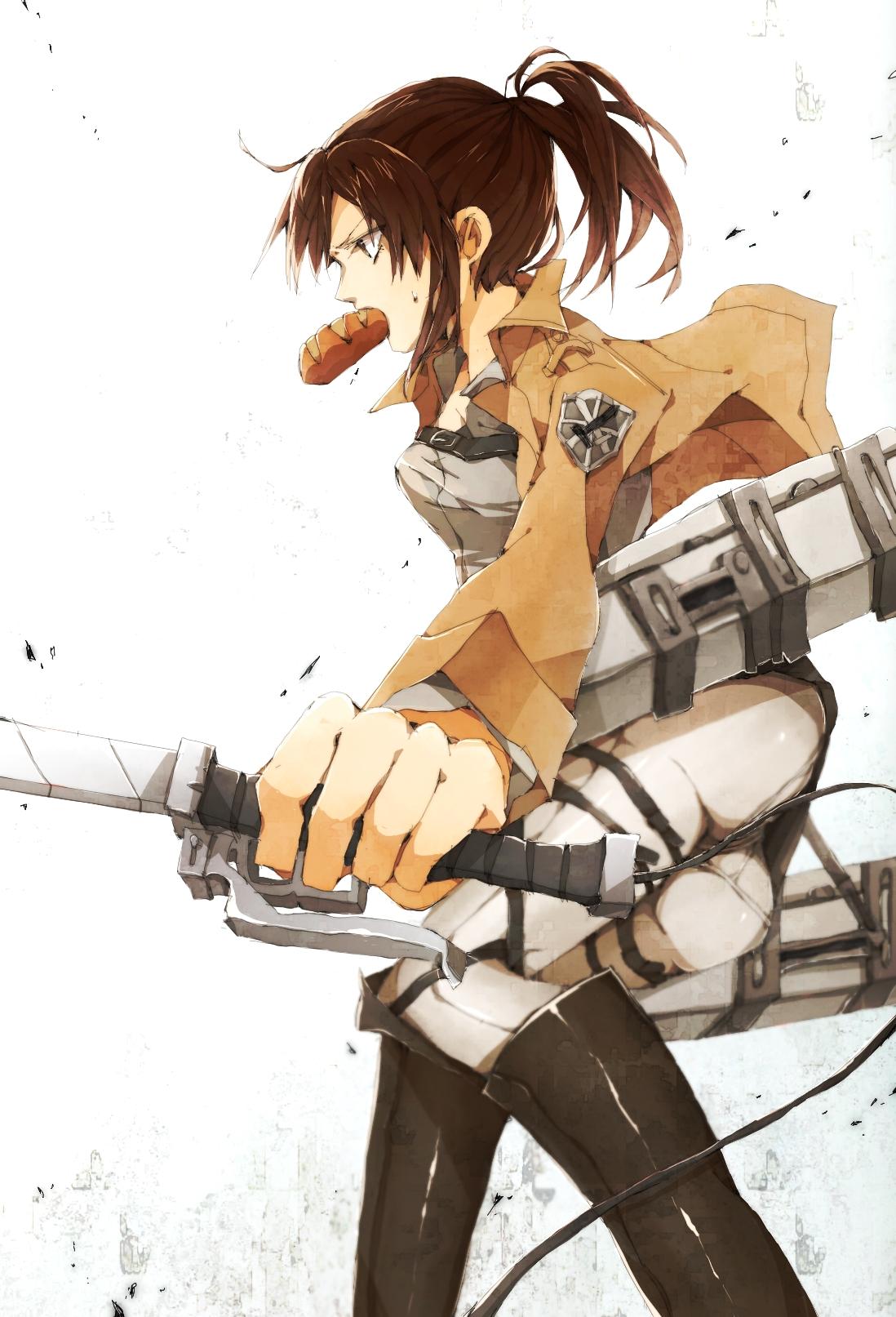 Sasha Braus (Sasha Blouse) on Titan Wallpaper Anime Image Board