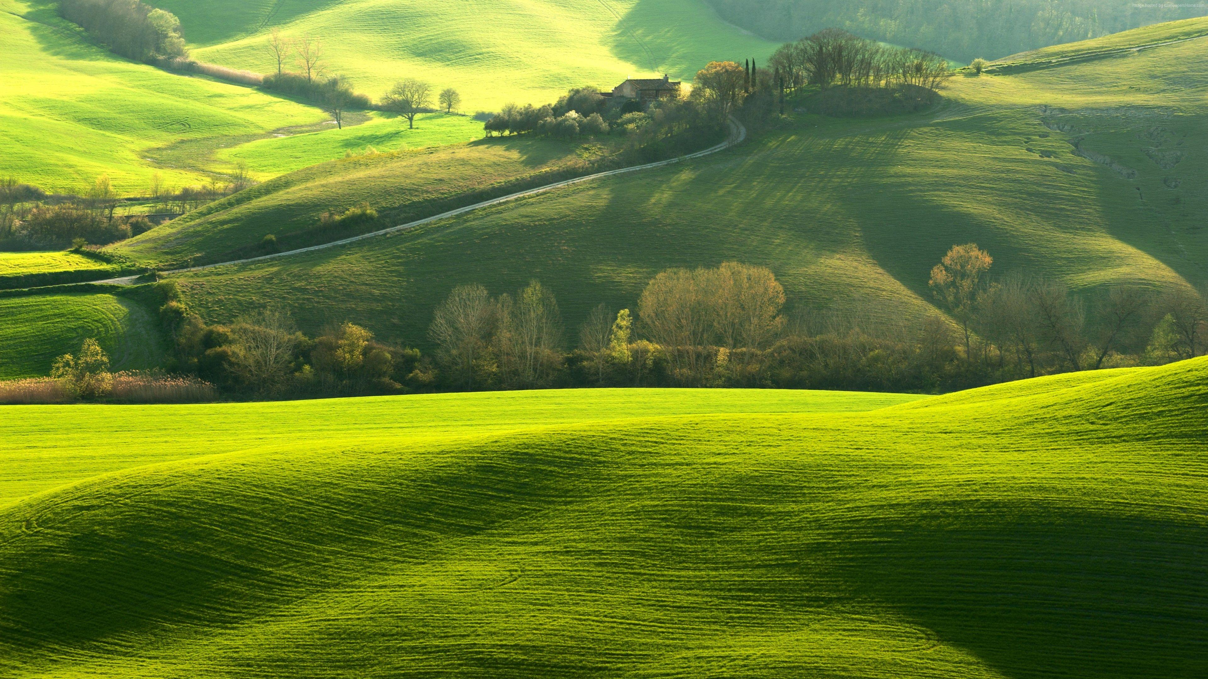 Wallpaper Tuscany, Italy, Europe, hills, green, field, 4K, Nature