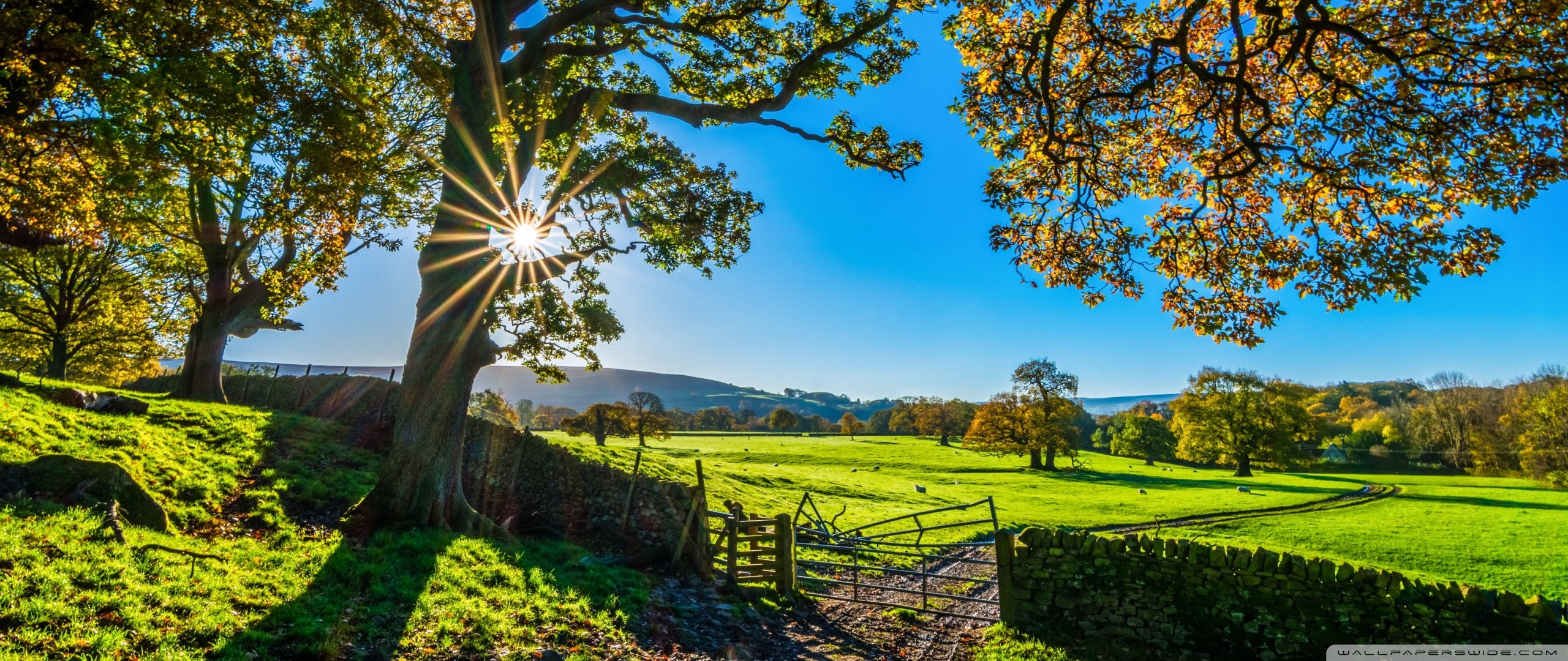 Beautiful England Nature Countryside Scenery ❤ 4K HD Desktop