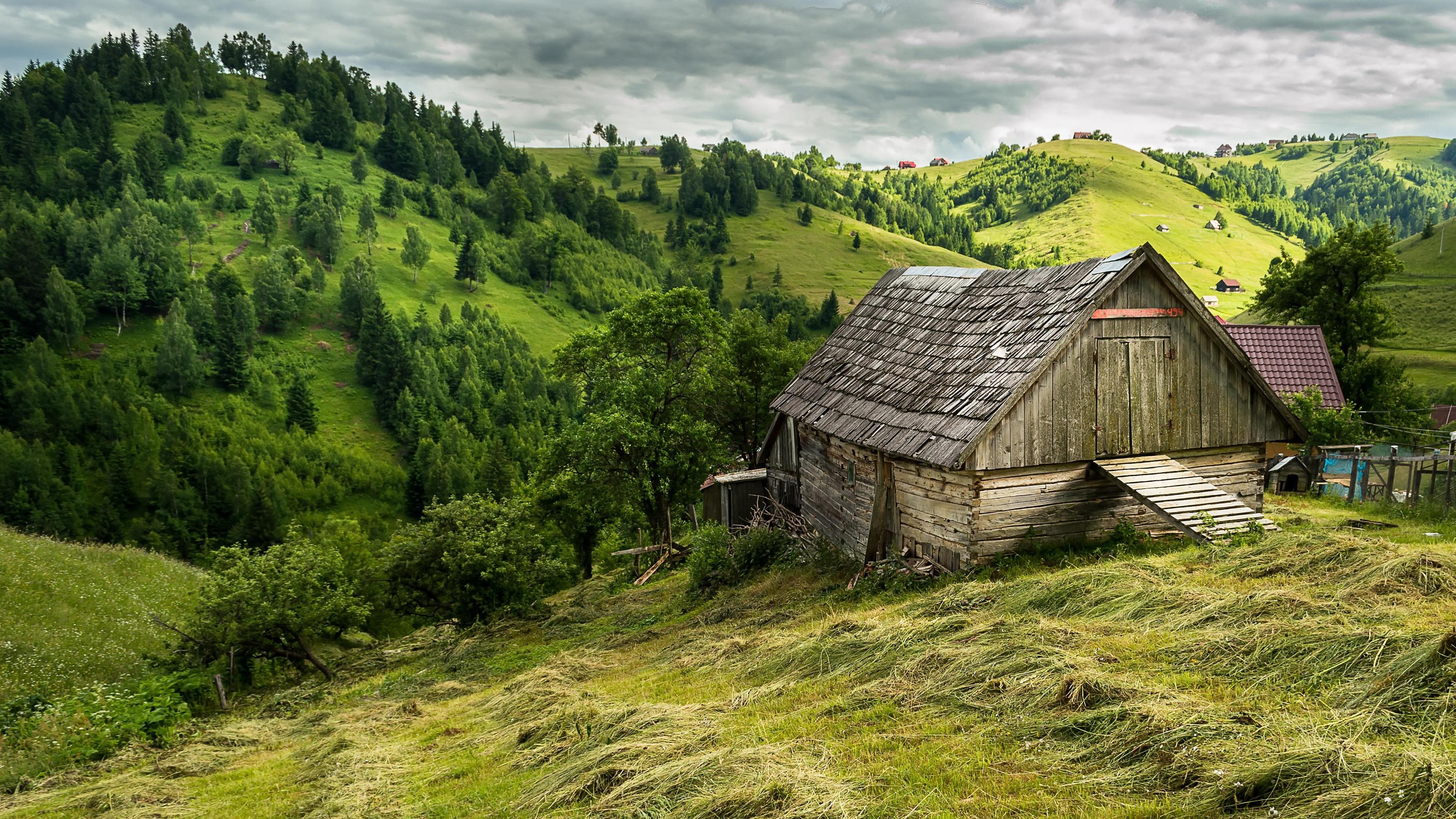 HD wallpaper: nature, grassland, village, tuscany, sky, field