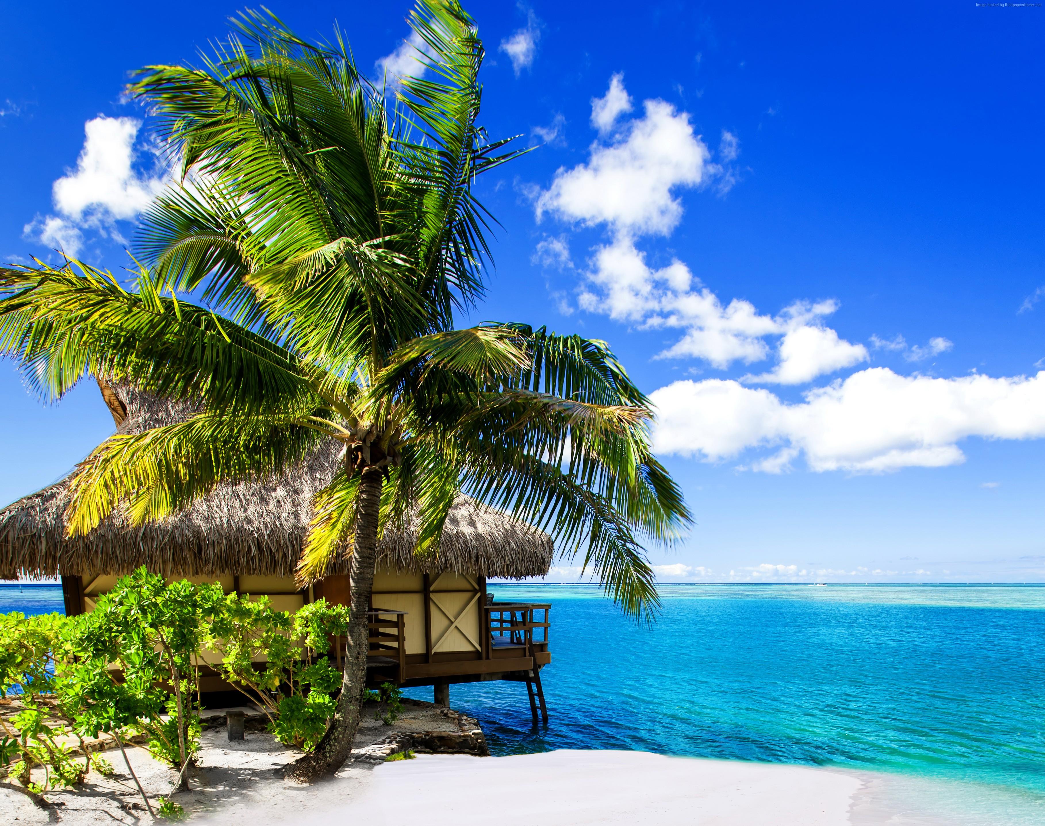 hotel, #beach, #travel, #Maldives, #ocean, #holidays, #island, k