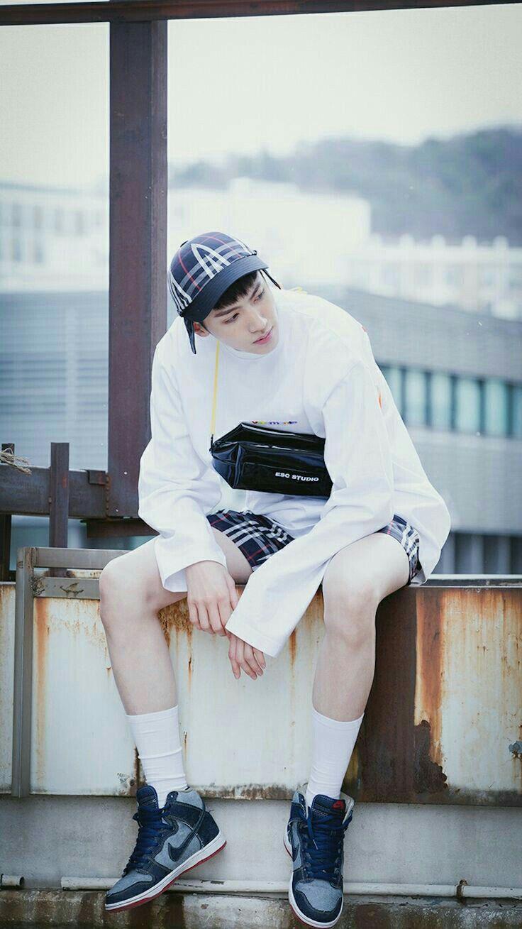 icons ➸ background ➸ wallpaper