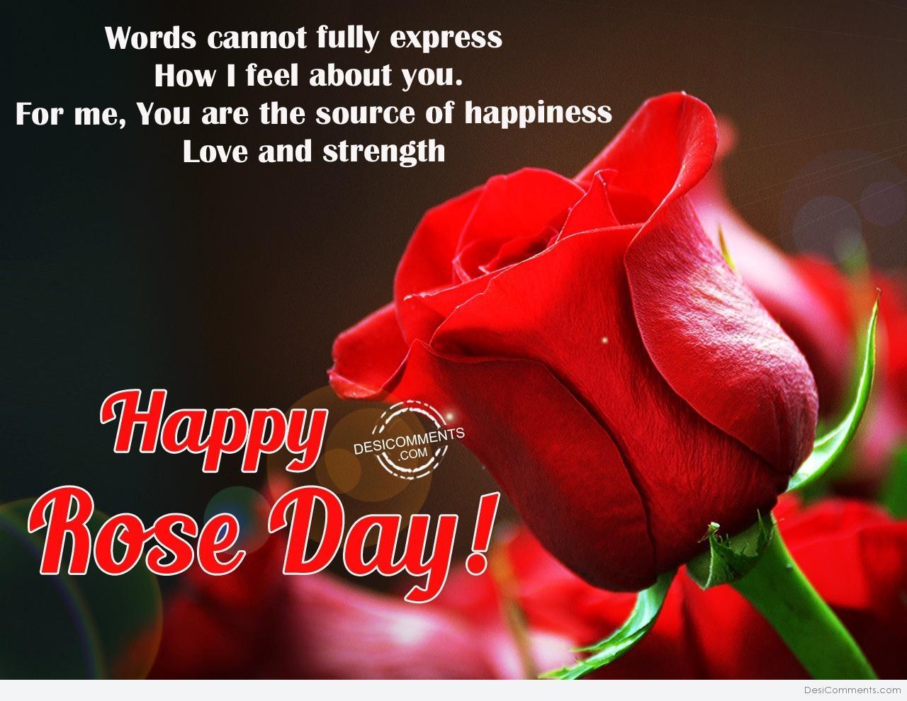 Rose Day Picture, Image, Graphics