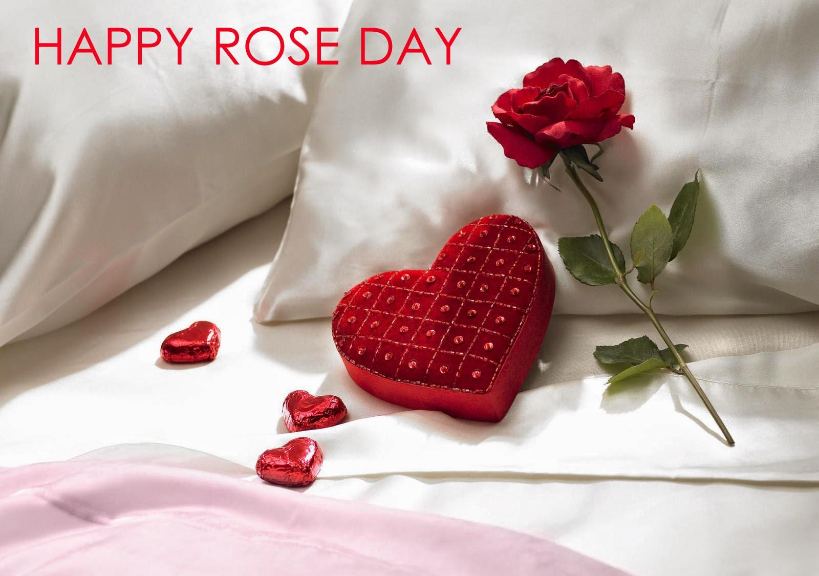 Happy Rose Day Pic Quotes Sms Image Wallpaper 2019
