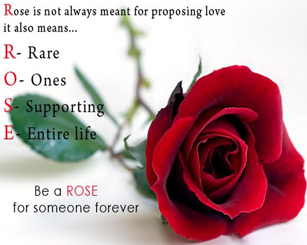 Rose Day Special Image With Full Of Love