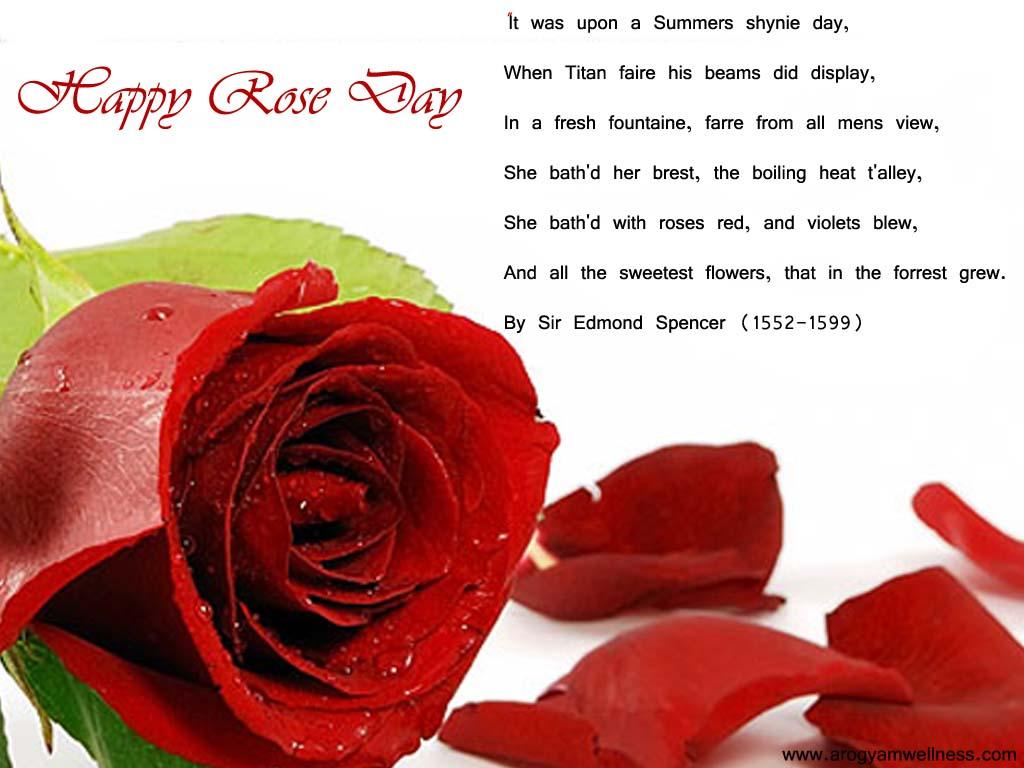 Adorable Rose Day 2017 Greeting Picture And Image
