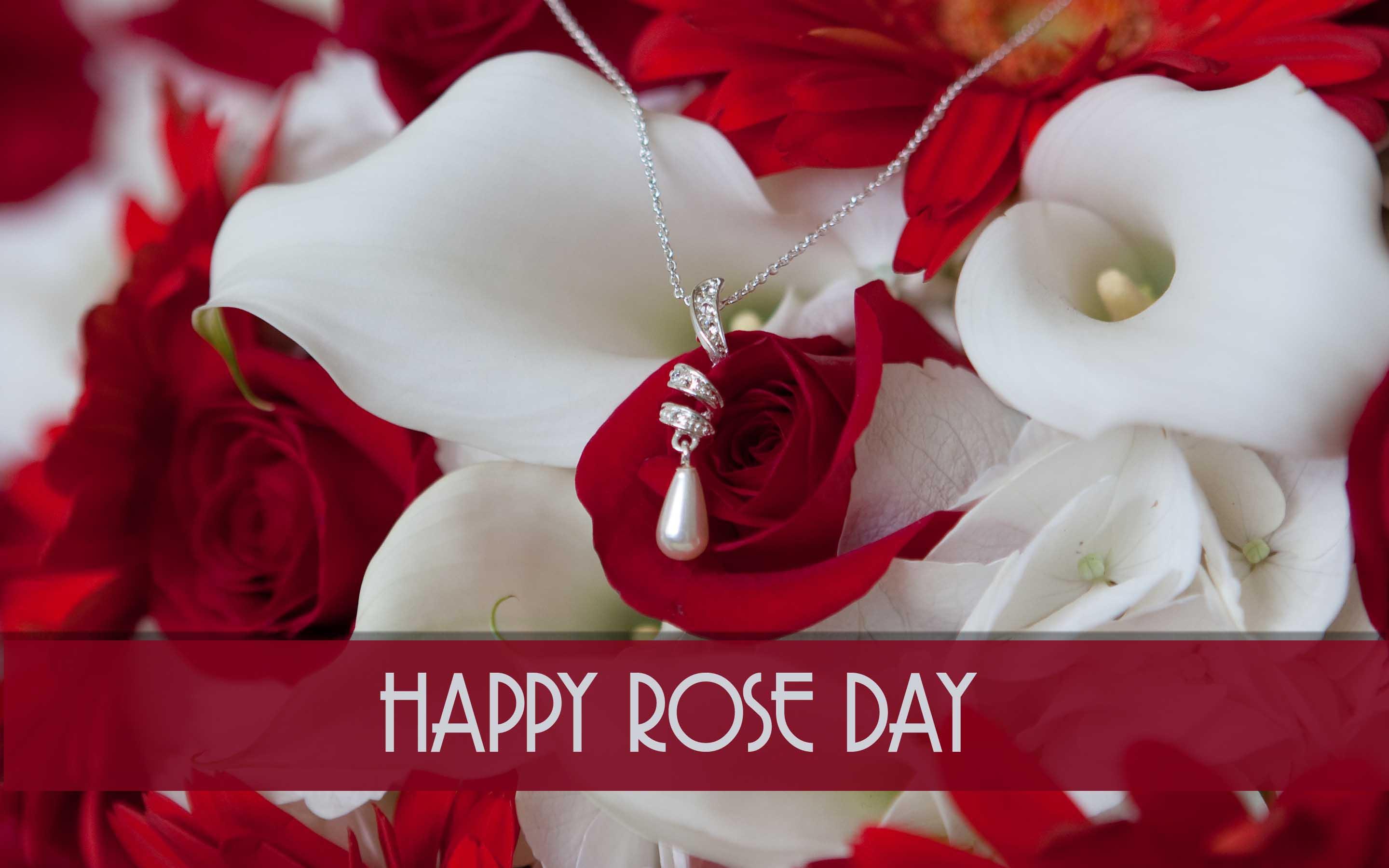 Download Happy Rose Day Full HD Wallpaper HD Wallpaper 2880x1800
