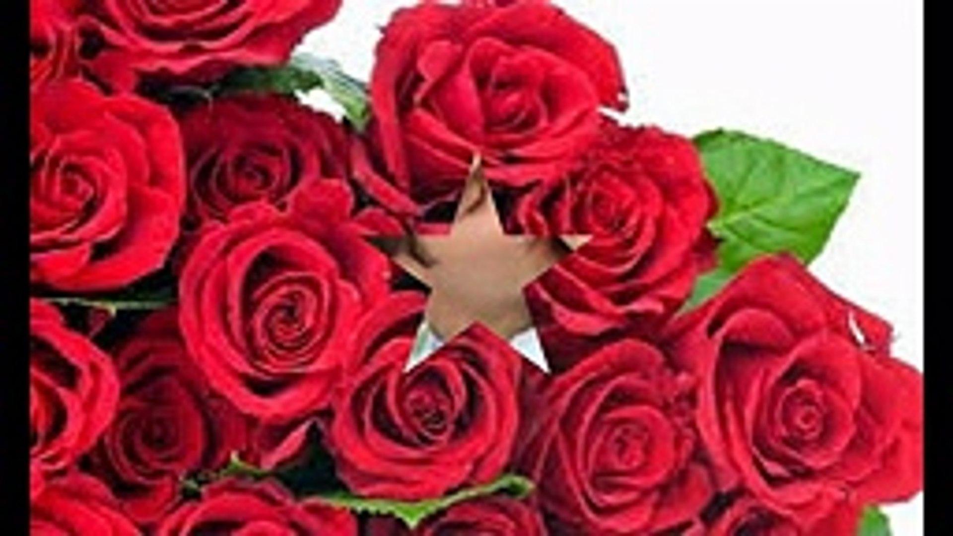 Happy Rose Day Rose Day Wishes Image Wallpaper