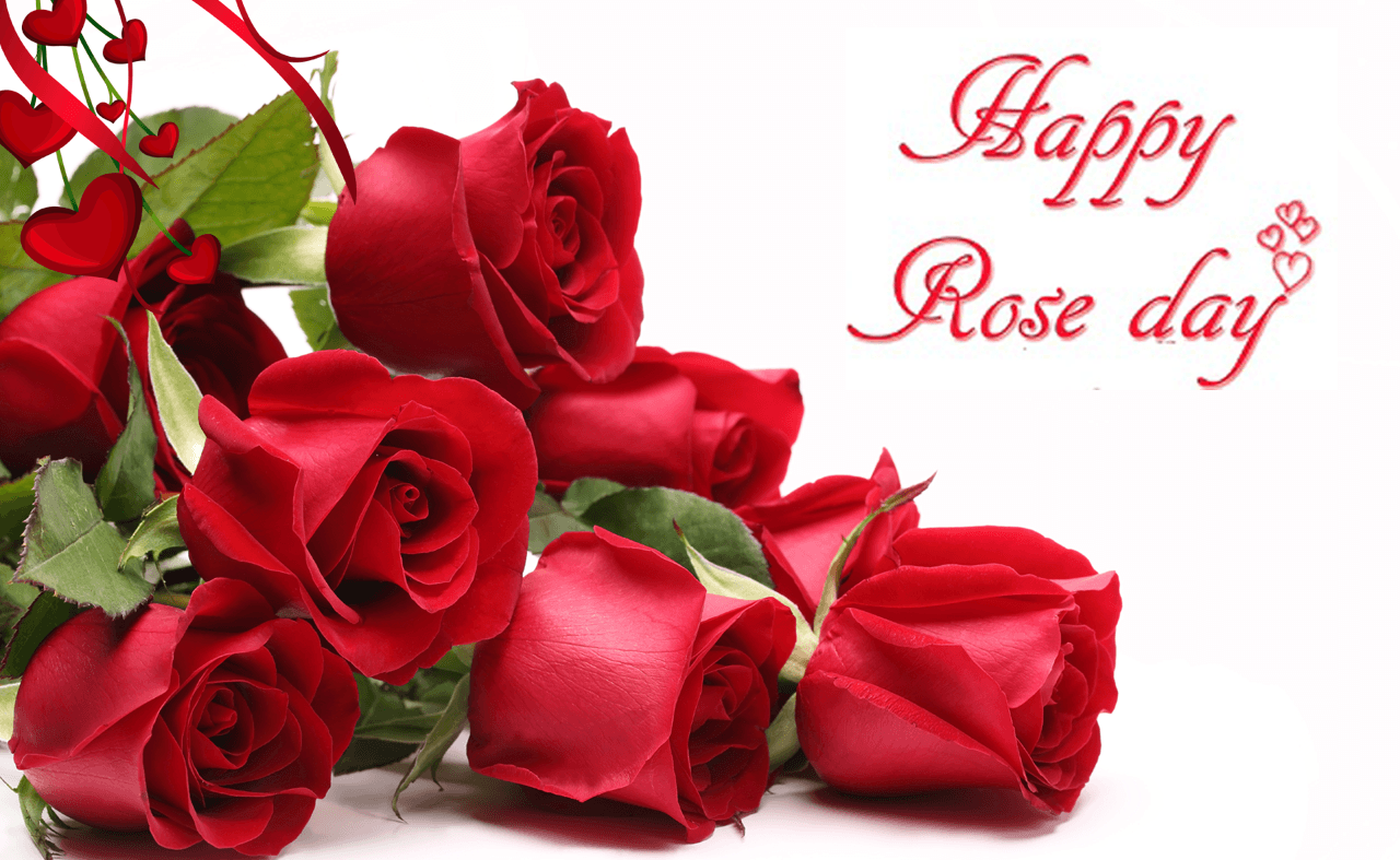 Beautiful Rose Day Wallpaper, Greetings and Wishes cards