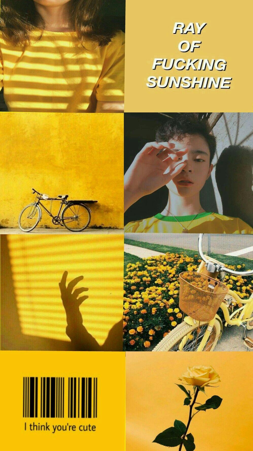 Chester. Chester, Ulzzang