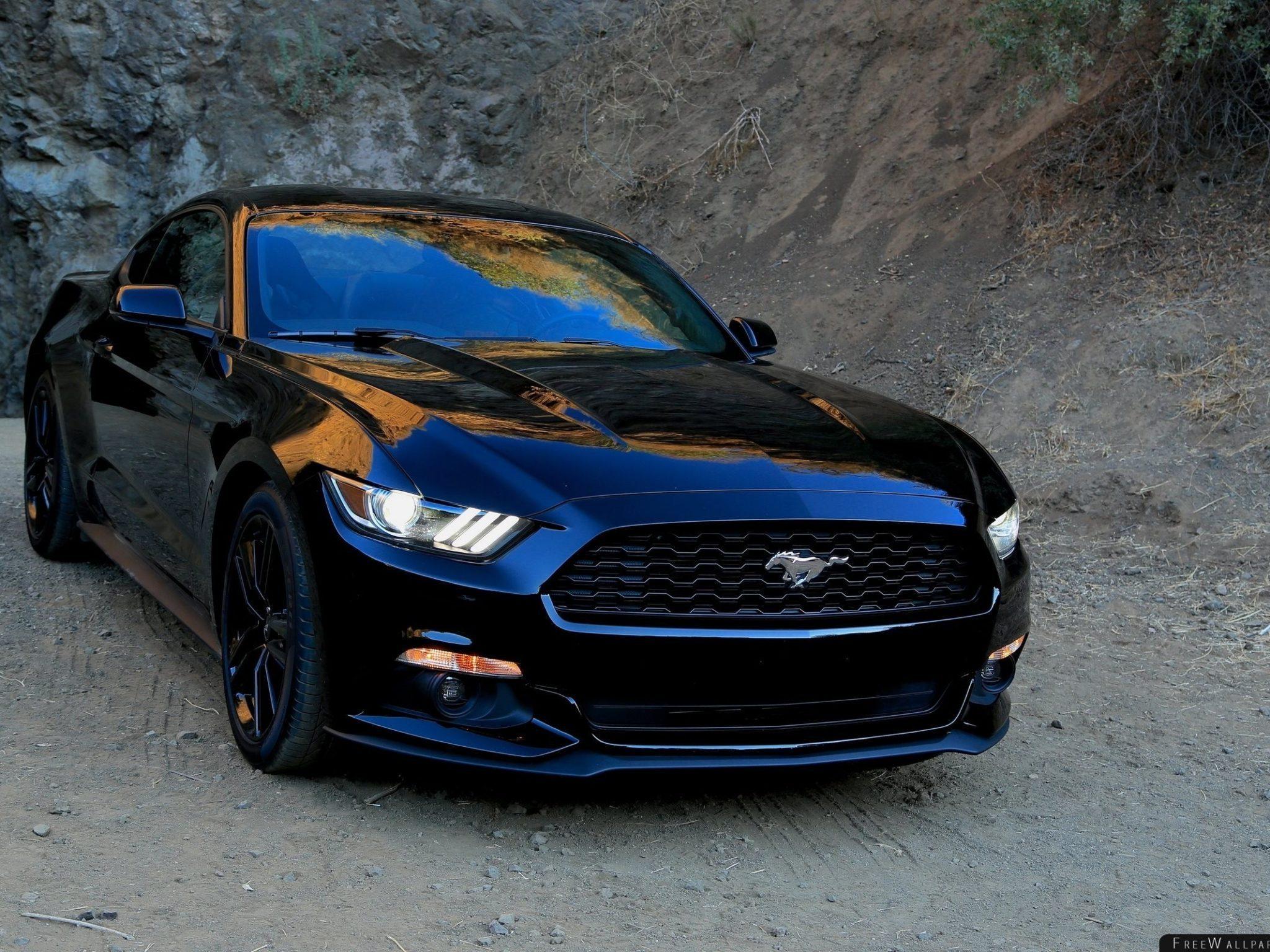 Ford Mustang Black Front View Sports Wallpaper Free Wallpaper Stock